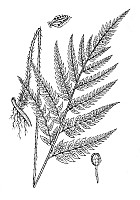 J0116.jpg J0116.jpg