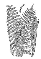 J0118.jpg J0118.jpg