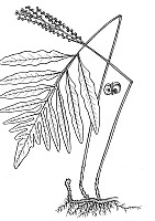 J0119.jpg J0119.jpg