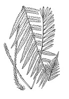 J0120.jpg J0120.jpg