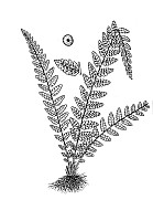 J0121.jpg J0121.jpg