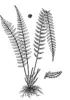 J0127.jpg J0127.jpg