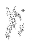 J0128.jpg J0128.jpg