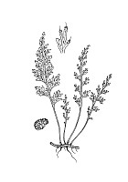 J0129.jpg J0129.jpg