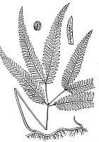 J0131.jpg J0131.jpg