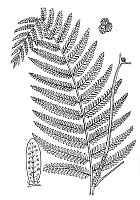 J0132.jpg J0132.jpg