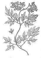 J0133-1.jpg J0133-1.jpg