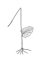 J0134.jpg J0134.jpg