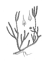 J0141.jpg J0141.jpg