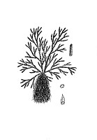 J0151.jpg J0151.jpg