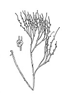 J0156.jpg J0156.jpg
