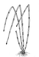 J0158.jpg J0158.jpg