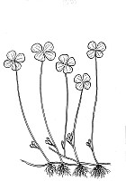 J0164.jpg J0164.jpg