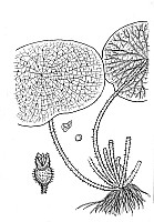 J0167.jpg J0167.jpg