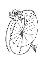 J0168.jpg J0168.jpg