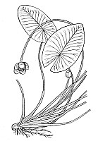 J0170.jpg J0170.jpg