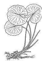 J0171.jpg J0171.jpg