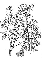 J0178.jpg J0178.jpg