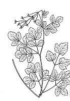 J0189.jpg J0189.jpg