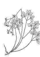 J0195.jpg J0195.jpg