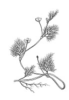 J0201.jpg J0201.jpg