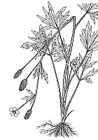 J0203.jpg J0203.jpg