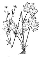 J0206.jpg J0206.jpg