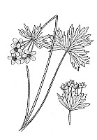 J0214.jpg J0214.jpg