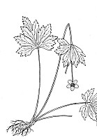 J0217.jpg J0217.jpg