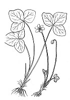 J0219.jpg J0219.jpg