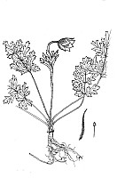 J0221.jpg J0221.jpg