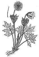J0223.jpg J0223.jpg