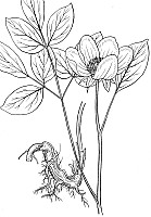 J0229.jpg J0229.jpg