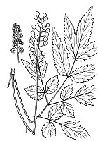 J0230.jpg J0230.jpg