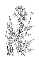 J0232.jpg J0232.jpg