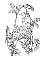 J0236.jpg J0236.jpg