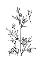 J0237.jpg J0237.jpg