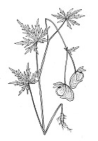 J0239.jpg J0239.jpg
