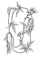 J0240.jpg J0240.jpg
