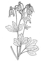 J0250.jpg J0250.jpg