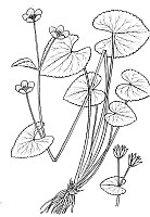 J0253.jpg J0253.jpg