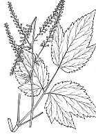 J0259.jpg J0259.jpg