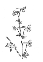 J0262.jpg J0262.jpg