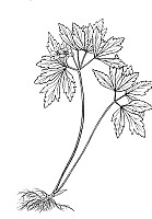 J0266.jpg J0266.jpg