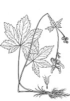 J0268.jpg J0268.jpg