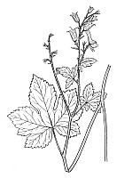 J0271.jpg J0271.jpg