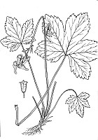 J0272.jpg J0272.jpg