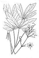 J0278.jpg J0278.jpg