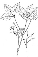 J0279.jpg J0279.jpg