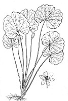 J0280.jpg J0280.jpg